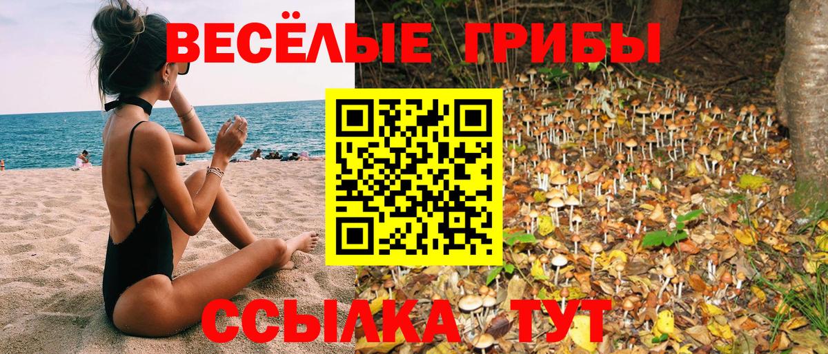 Галлюциногенные грибы Magic Shrooms Ивантеевка
